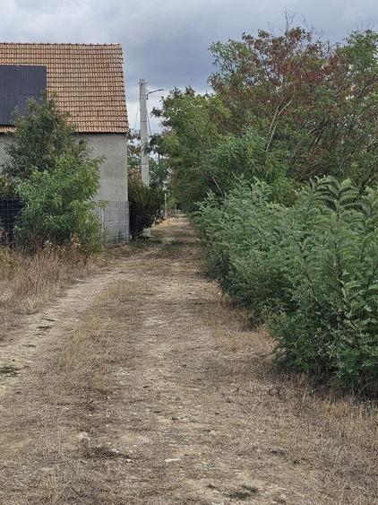 Teren agricol intravilan de 2000 mp, în Săcădat