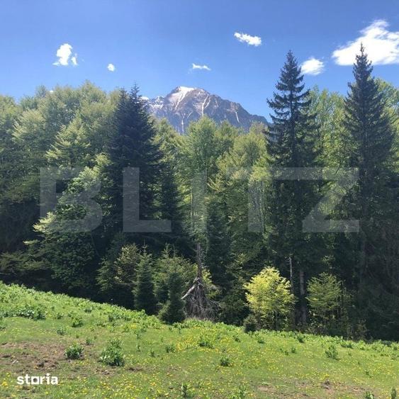 De vanzare, teren intravilan 5.500mp, Predeal - 10