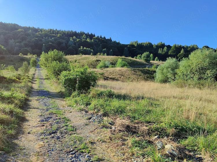 Teren de 1007 mp, în Sălicea