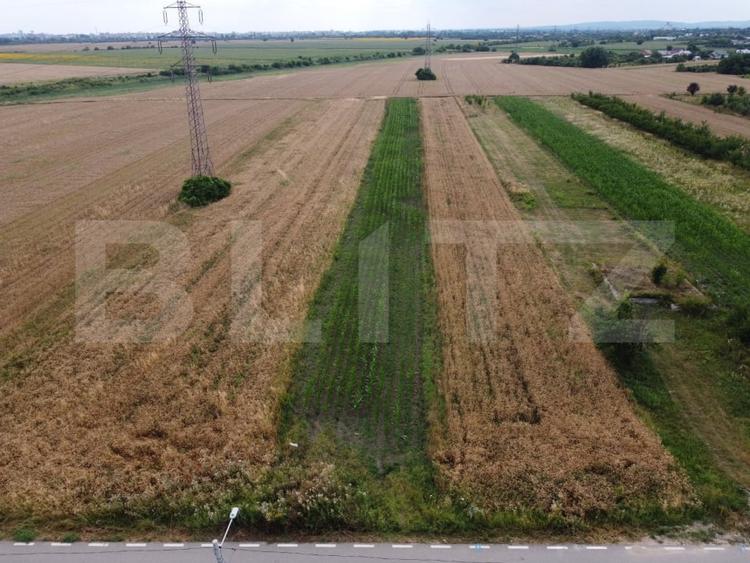 Teren Construcții intravilan de 1650 mp, în Răzvad
