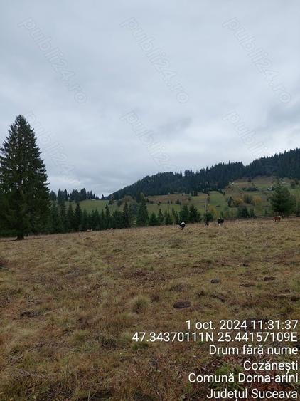 Teren de 21500 mp, în Ortoaia