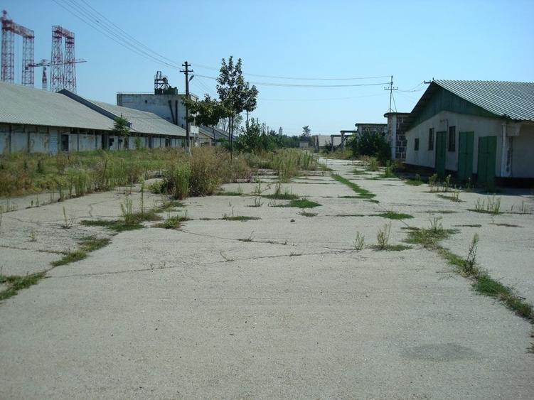 Teren Construcții intravilan de 39000 mp, în Giurgiului