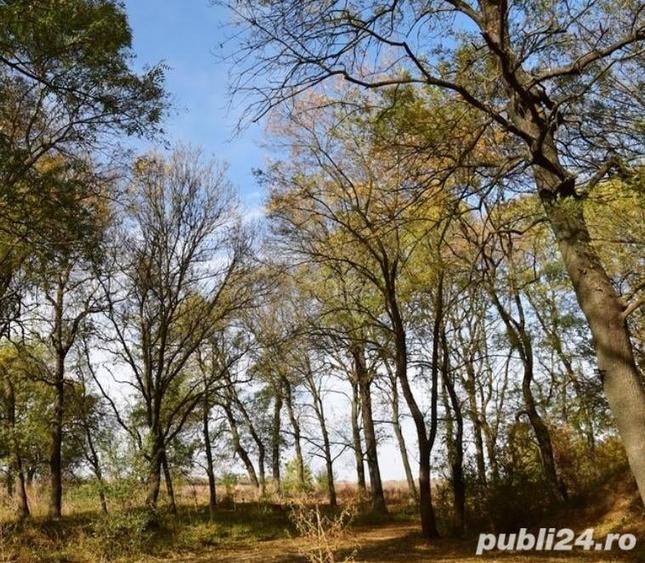 Teren de 1128 mp, în Valu lui Traian