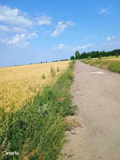 Proprietar!Vand 5000 mp teren extravilan in Valea Ursului - 5