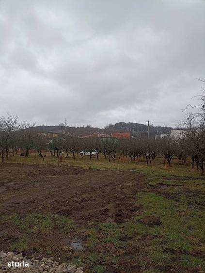 Teren de 455 mp, în Central