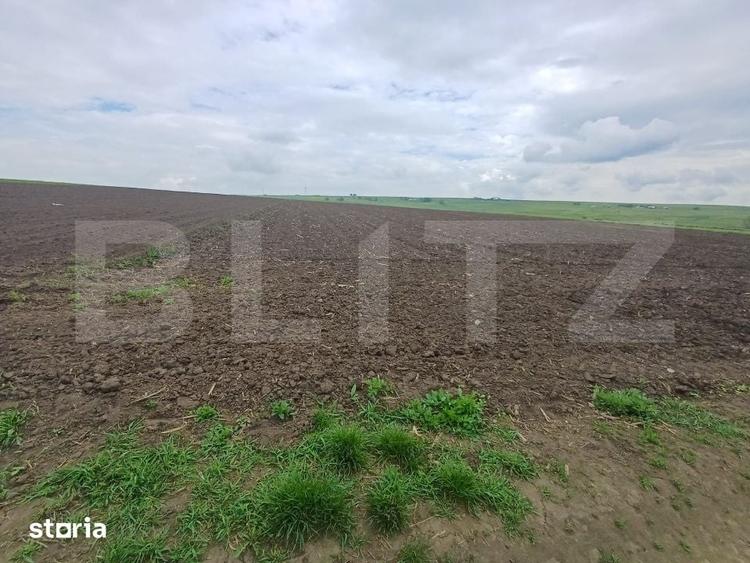 Teren de 3256 mp, în Bosanci