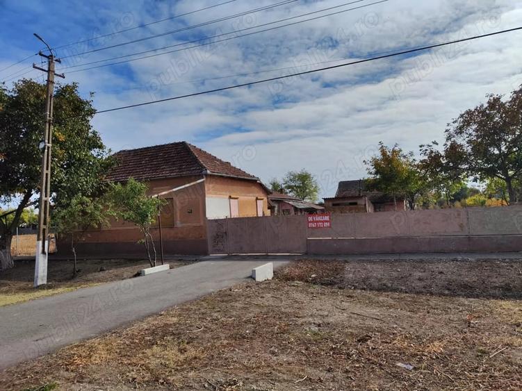 Casă cu 6 camere cu Teren 3277 Mp în Cenad