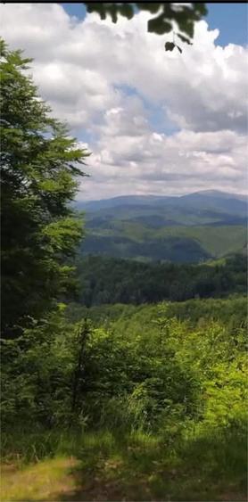 Teren de 17000 mp, în Nucșoara