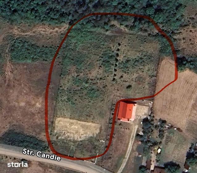 Teren de 5339 mp, în Dăbâca