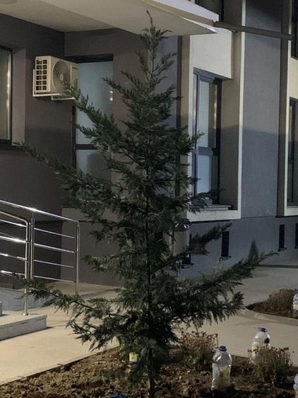 Garsonieră decomandată în Găvana