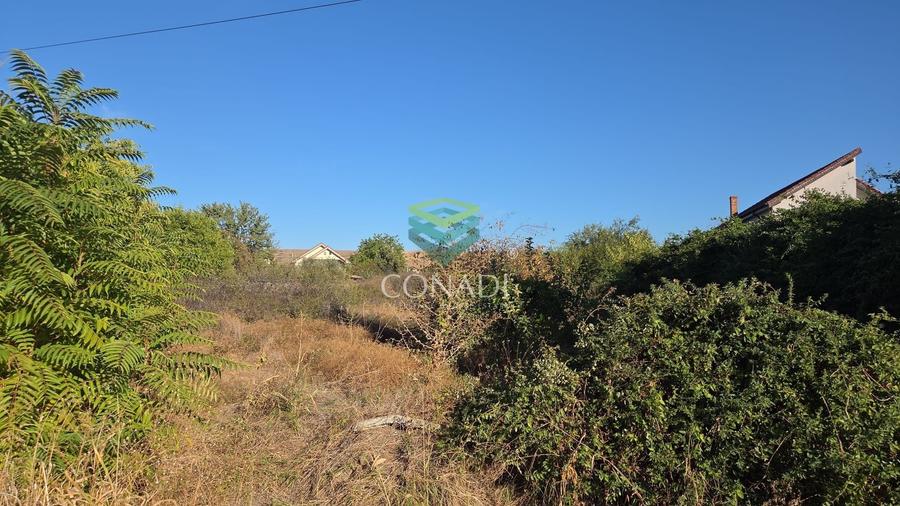 Teren Construcții intravilan de 3100 mp, în Florești