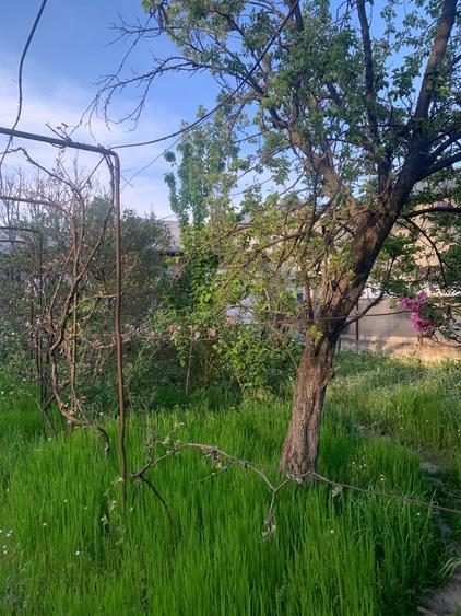Casă individuală cu 6 camere cu Teren 1400 Mp în Voluntari