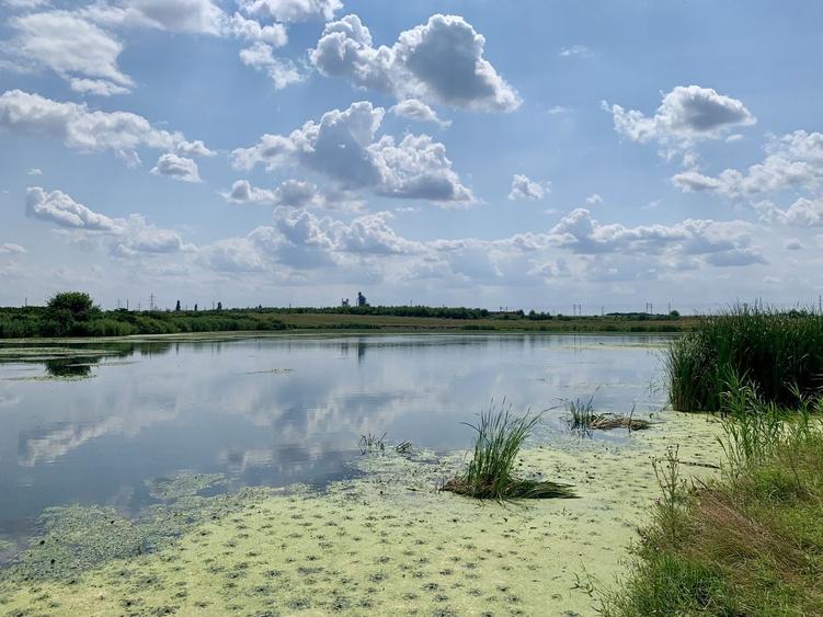 Teren agricol intravilan de 45000 mp, în Crevedia