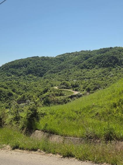 Casa de vanzare, jud prahova la 12km de valenii de munte - 4