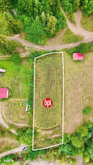 Teren de 1800 mp, în Mălini