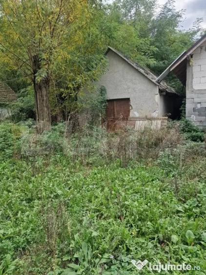 Teren de 79000 mp, în Central