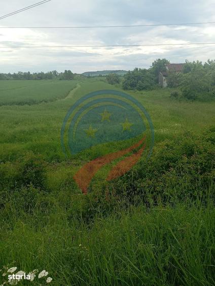 Teren de 7140 mp, în Murgași