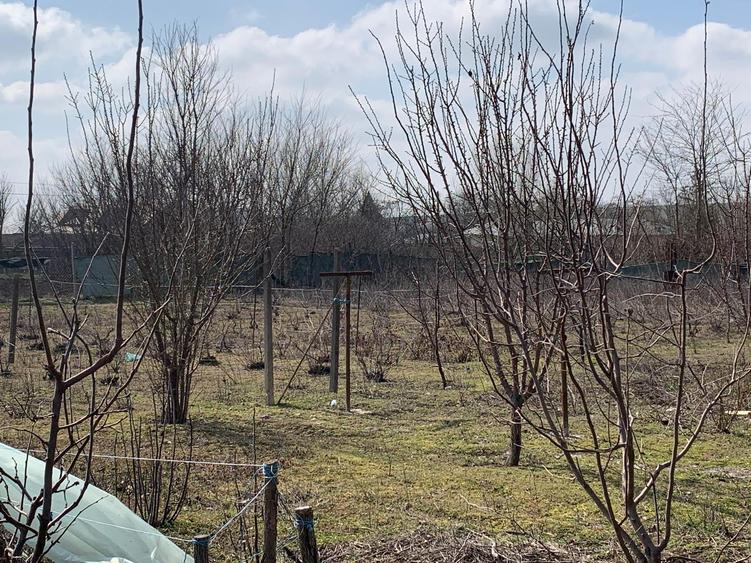 Casă individuală cu 2 camere cu Canalizare în Schela