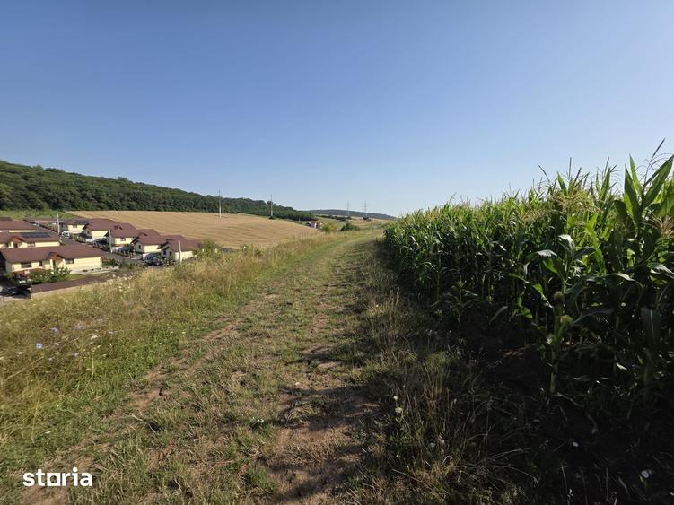 Teren de 5800 mp, în Sâncraiu de Mureș