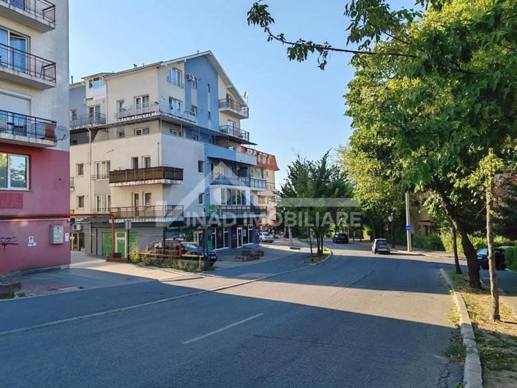 Apartament cu o cameră, 35 mp+balcon, parcare, Zorilor Str. Viilor - 14