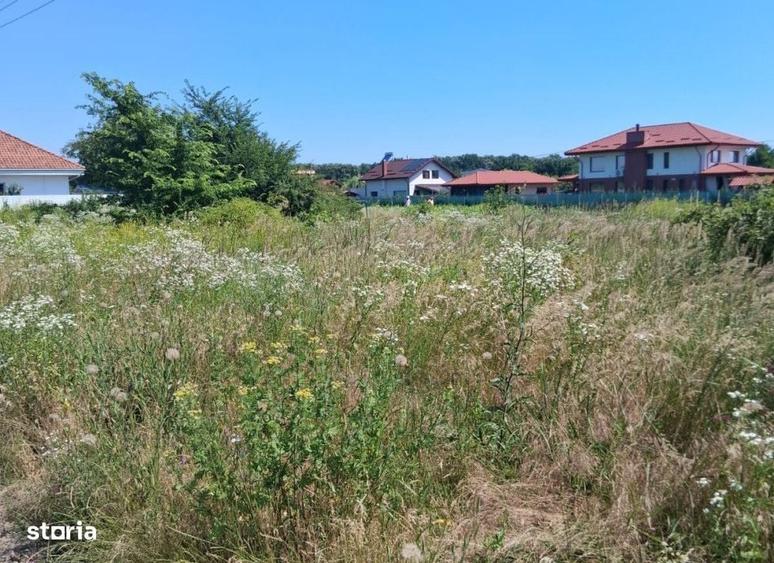 Spațiu comercial, în Valea Ursului