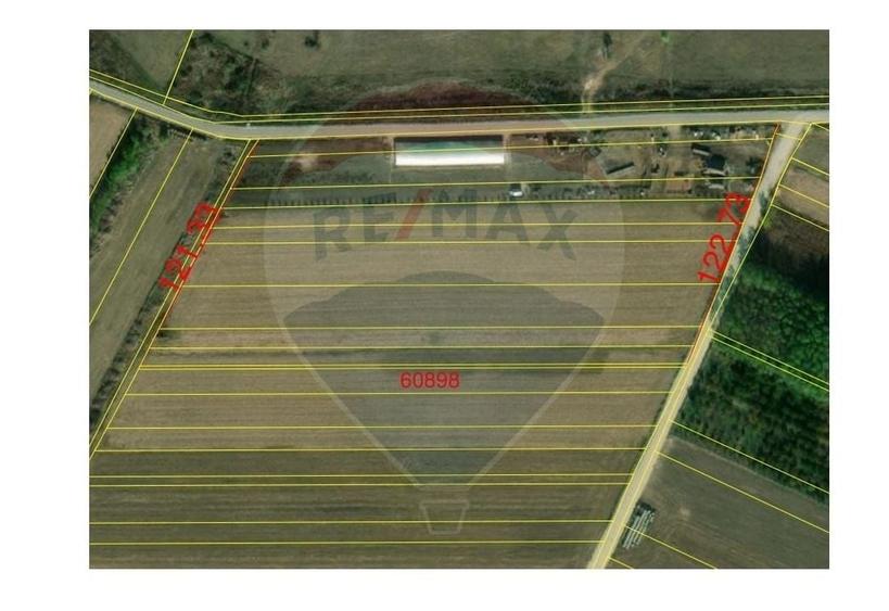 Teren agricol extravilan de 3000 mp, în Sântion