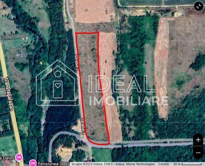 Teren agricol extravilan de 6500 mp, în Cârțișoara