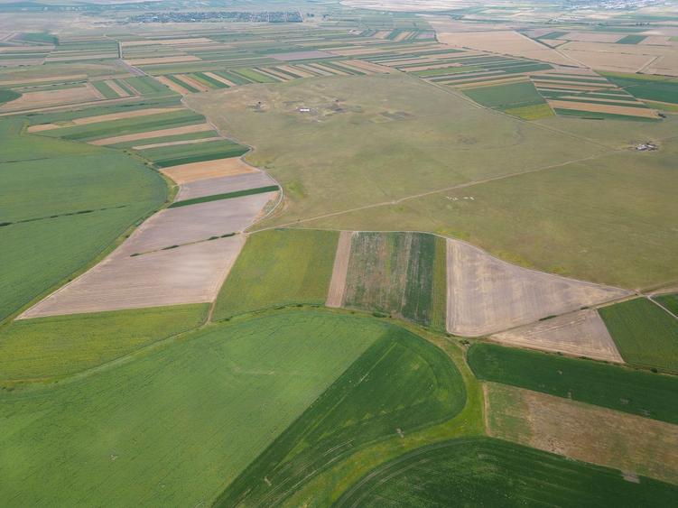 Teren agricol extravilan de 10742200 mp, în Exterior Sud