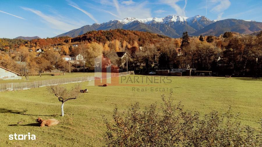 Teren de 8206 mp, în Moieciu