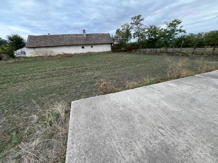 Teren de 3000 mp, în Checea