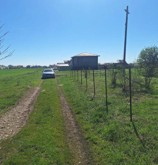 Dragomiresti- Vale, str Nucilor, teren intravilan 2.262mp. - 11