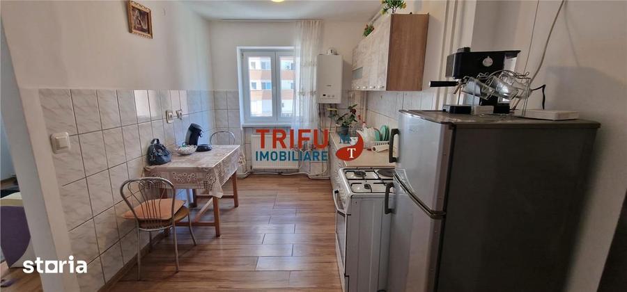 Apartament 2 camere de vanzare zona Cetate - 8