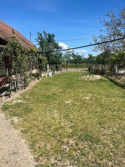 Casă cu 2 camere cu Teren 3543 Mp în Tătărești