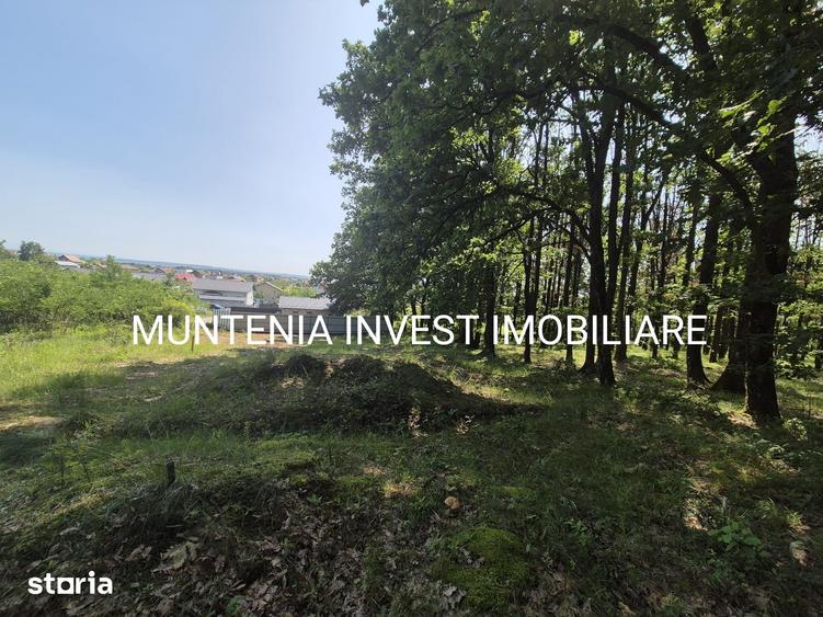 Teren de 1059 mp, în Moșoaia