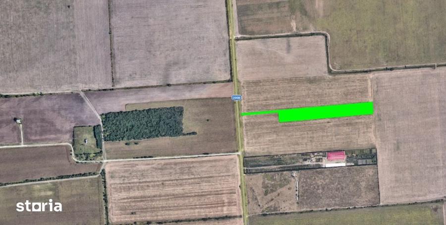 Teren de 17700 mp, în Tunari