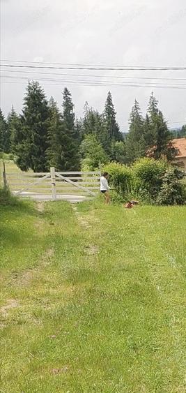 Teren de 1612 mp, în Central
