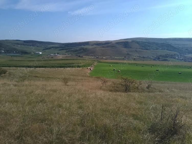 Teren de 8000 mp, în Chinteni