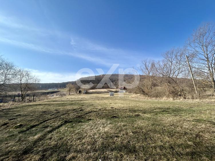Teren Construcții intravilan de 3000 mp, în Vâlcele