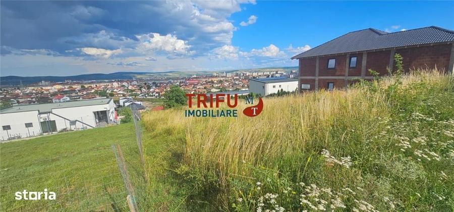 Spațiu comercial, în Cetate