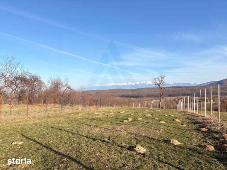 Teren de 809 mp, în Poplaca