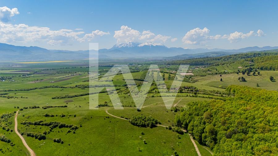 Teren agricol extravilan de 1500 mp, în Codlea