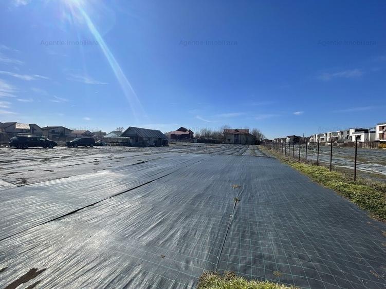 Teren Construcții intravilan de 4493 mp, în Mogoșoaia