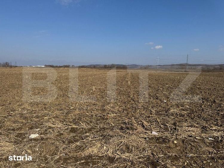 Teren de 2900 mp, în Industrială