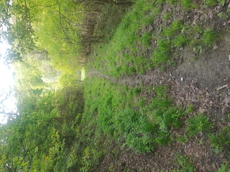 Teren de 2200 mp, în Vlădești