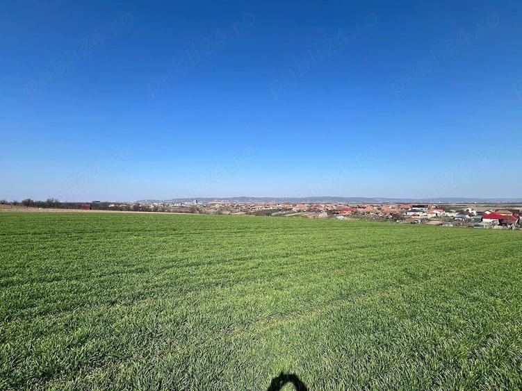 Teren de 5375 mp, în Cheriu