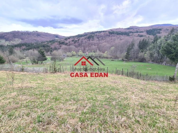 Teren extravilan de 20500 mp, în Valea Doftanei