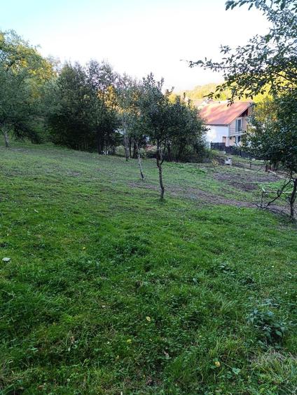 Teren de 1599 mp, în Bughea de Jos