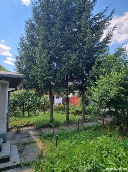 Casă cu 5 camere în Aluniș