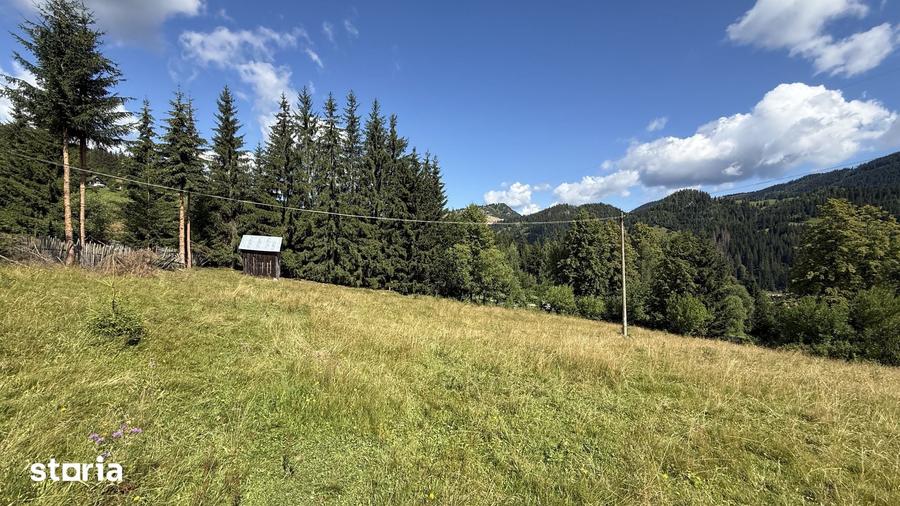 Teren intravilan 5620mp, acces public, panorama - 5