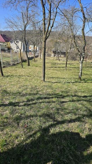 Casă cu Teren 33 Mp în Central